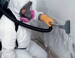 Best Mold Odor Removal Services  in USA